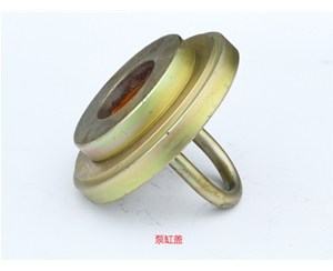 泵缸盖