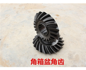 角箱盆角齿
